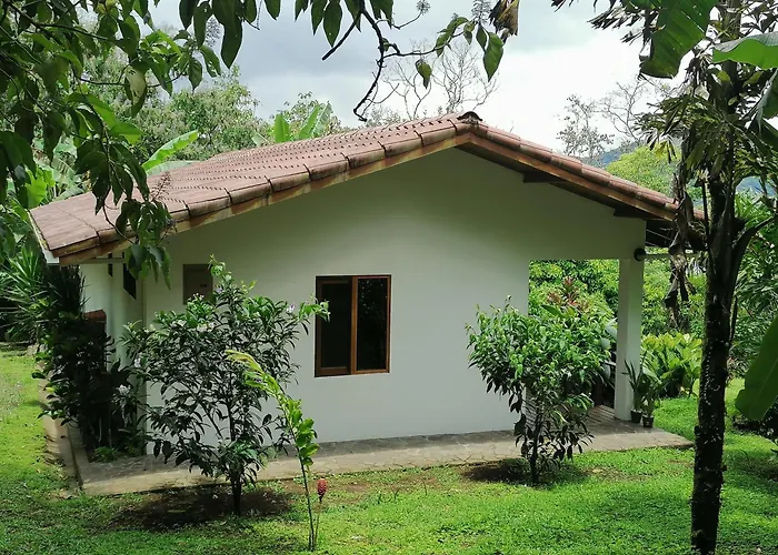 La Ceiba Tree Lodge