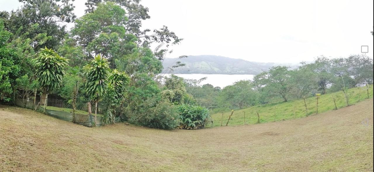 Bed and breakfast La Ceiba Tree *