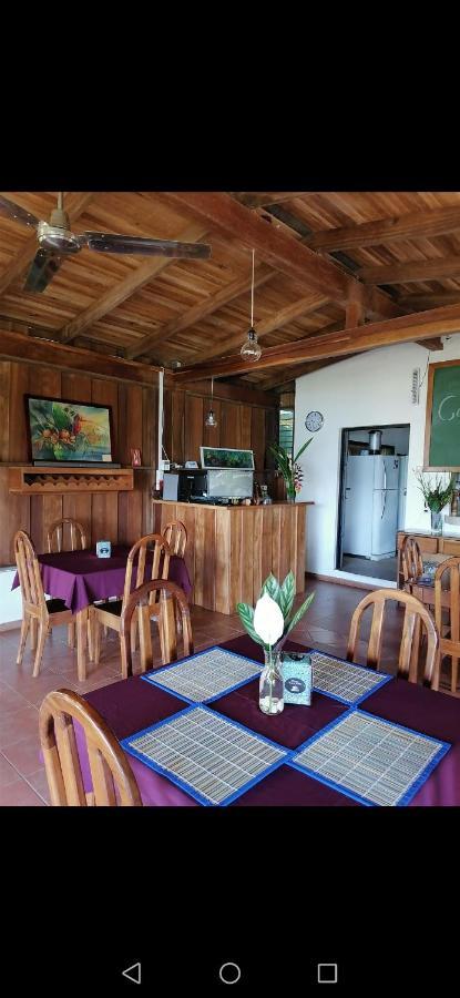 Bed and breakfast La Ceiba Tree