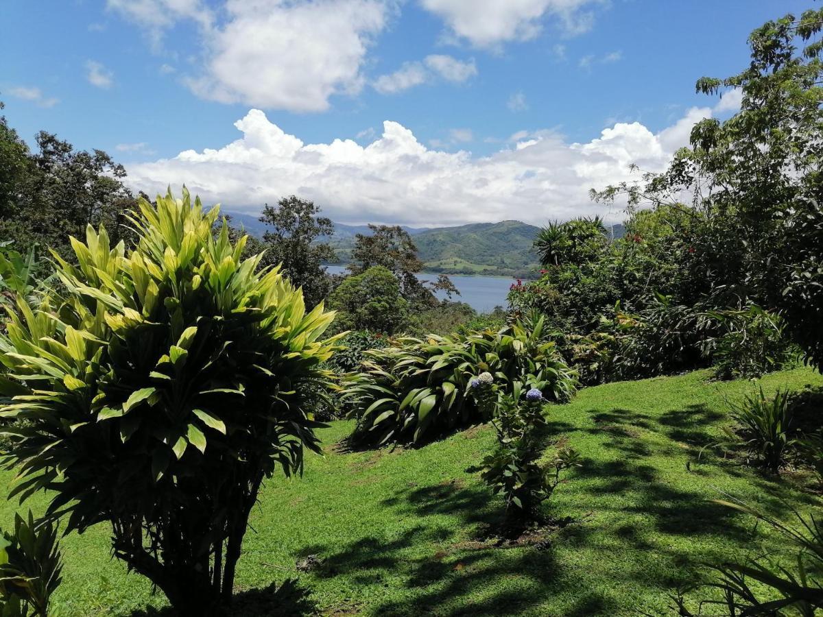 La Ceiba Tree *