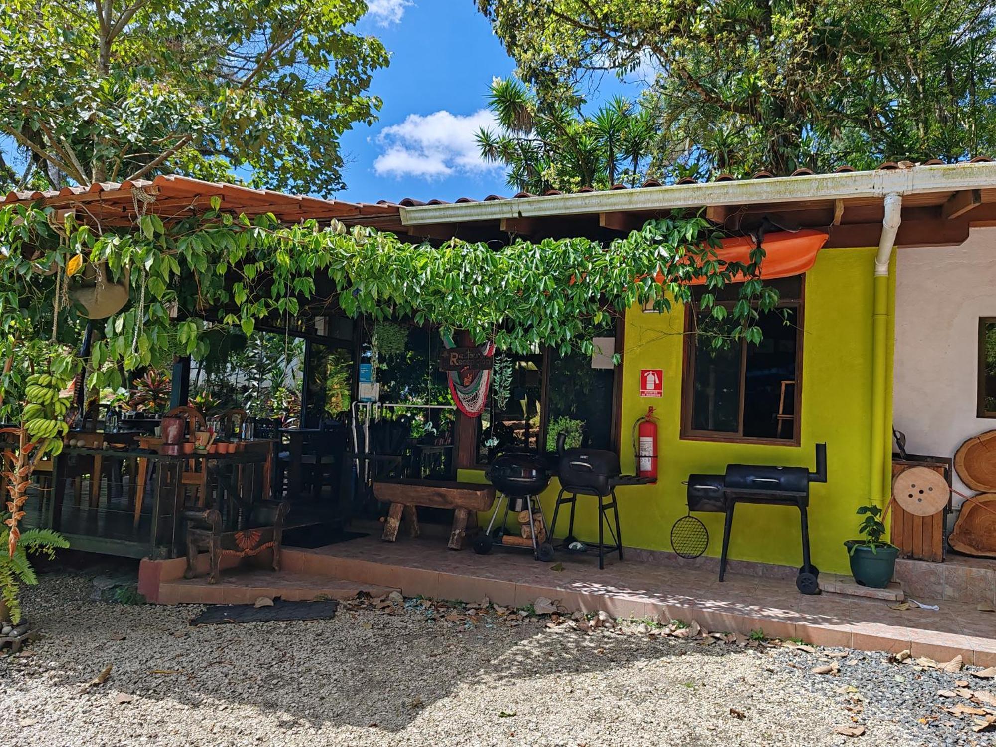 La Ceiba Tree Bed and breakfast