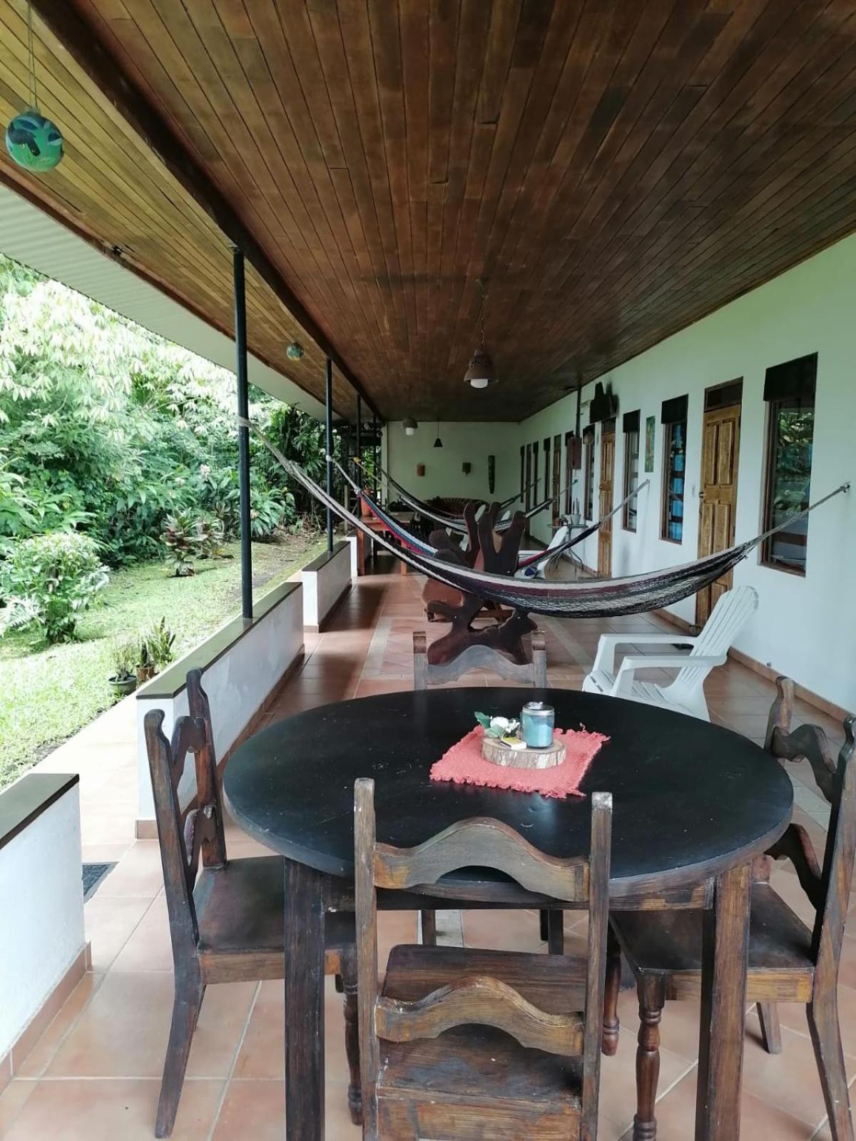 Bed and breakfast La Ceiba Tree