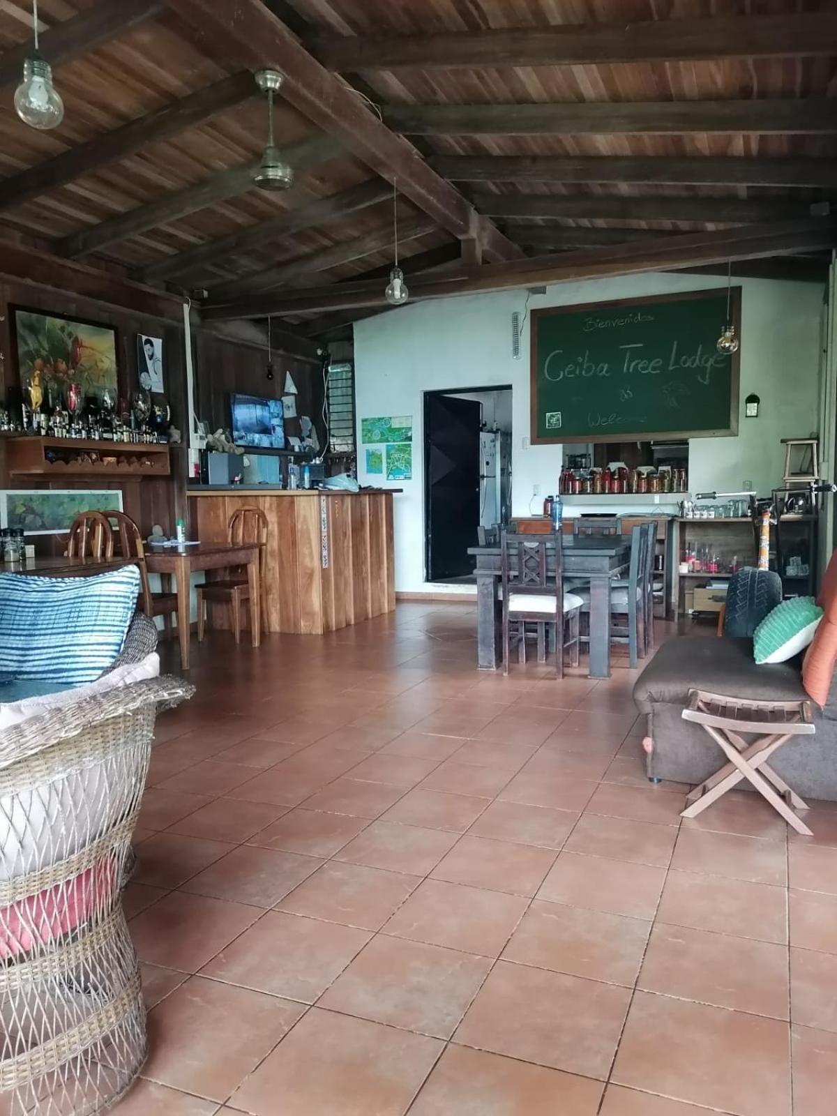 Bed and breakfast La Ceiba Tree