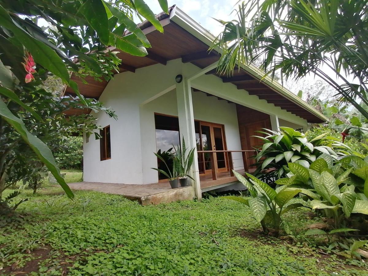 Bed and breakfast La Ceiba Tree Tilarán