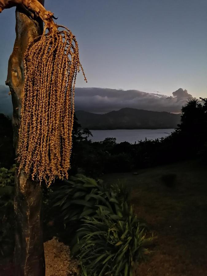 Bed and breakfast La Ceiba Tree *