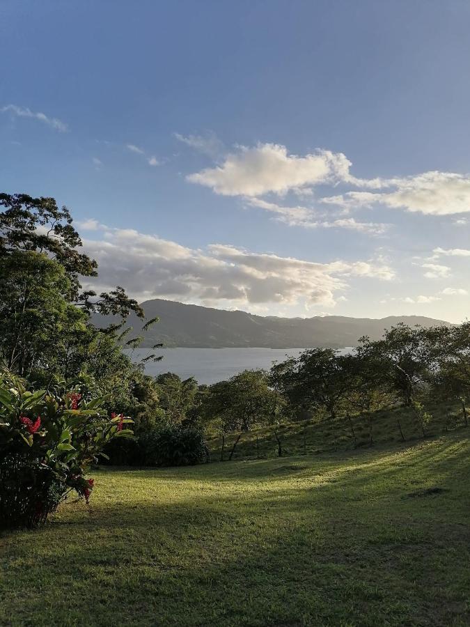 La Ceiba Tree Bed and breakfast *