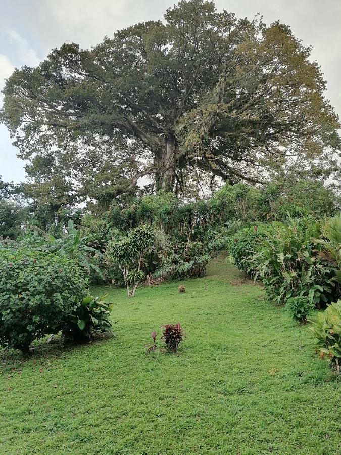 La Ceiba Tree Bed & Breakfast Tilarán
