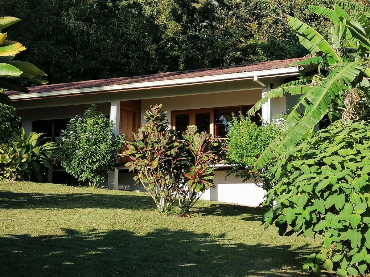 La Ceiba Tree Bed and breakfast *