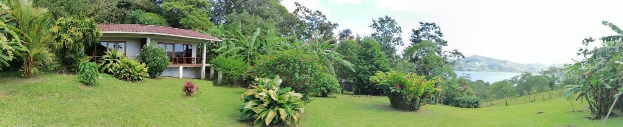 La Ceiba Tree Bed and breakfast