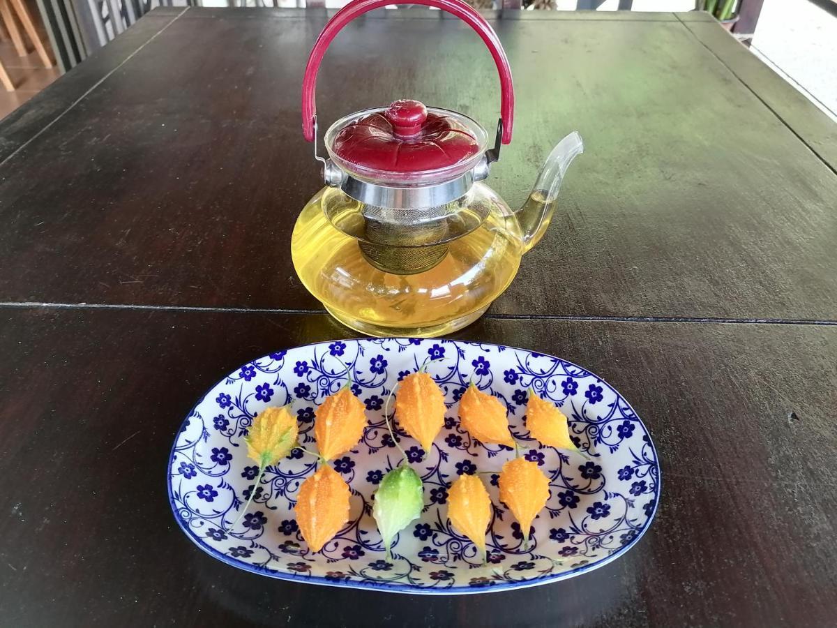 La Ceiba Tree Bed and breakfast