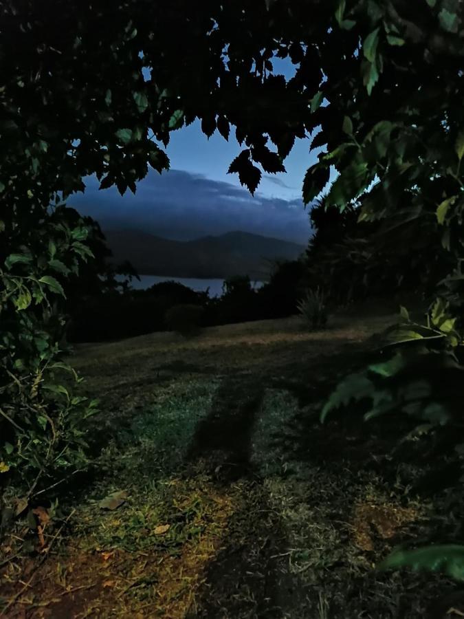 La Ceiba Tree Bed and breakfast