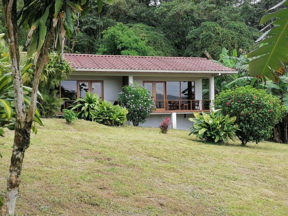 Bed and breakfast La Ceiba Tree *