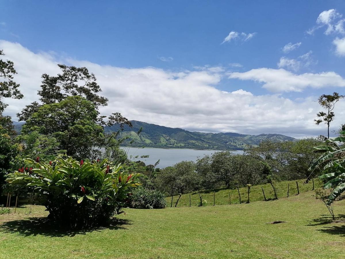 La Ceiba Tree Bed and breakfast