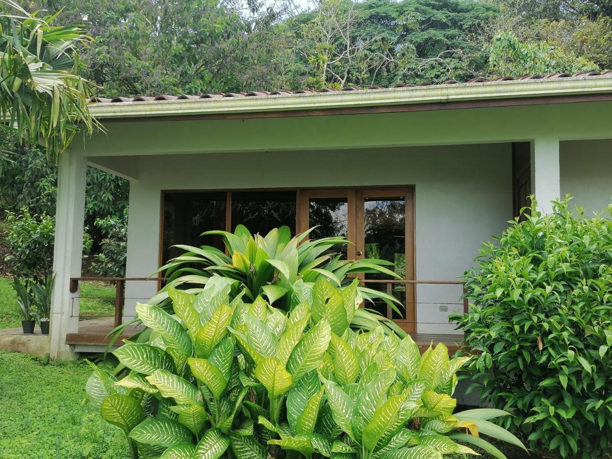Bed and breakfast La Ceiba Tree Tilarán
